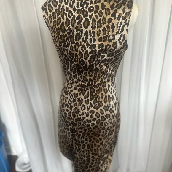 Leopard Print Dress - Picture 4 of 5
